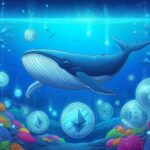 Descubre el papel de las ballenas en el mundo de las criptomonedas